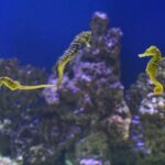 459255395_2523757797810964_6924079997806691145_n