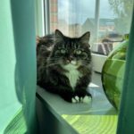 648889932_923901847208065_2251239616358907997_n